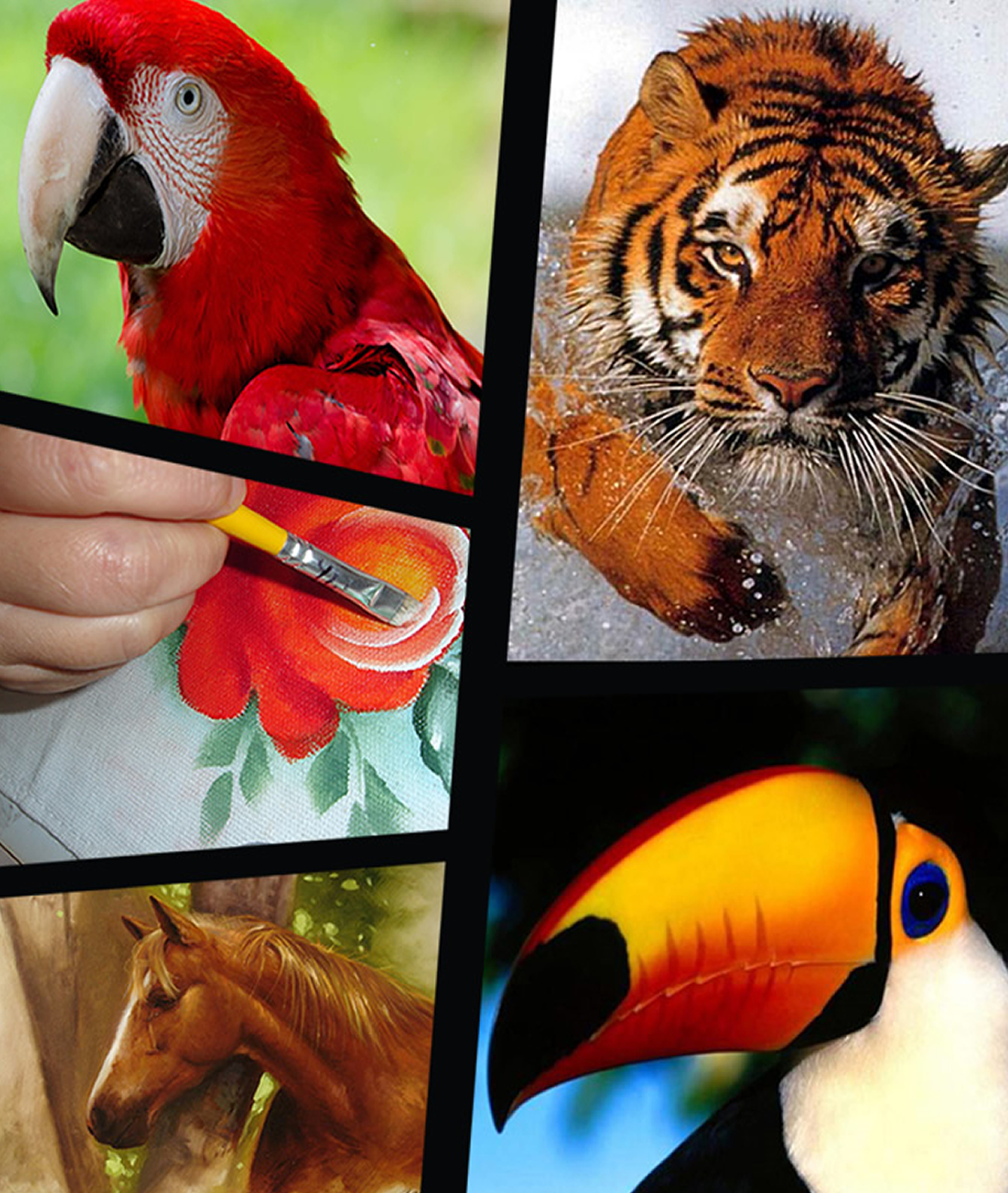 Escola de Desenho em Guarulhos - aprenda a desenhar